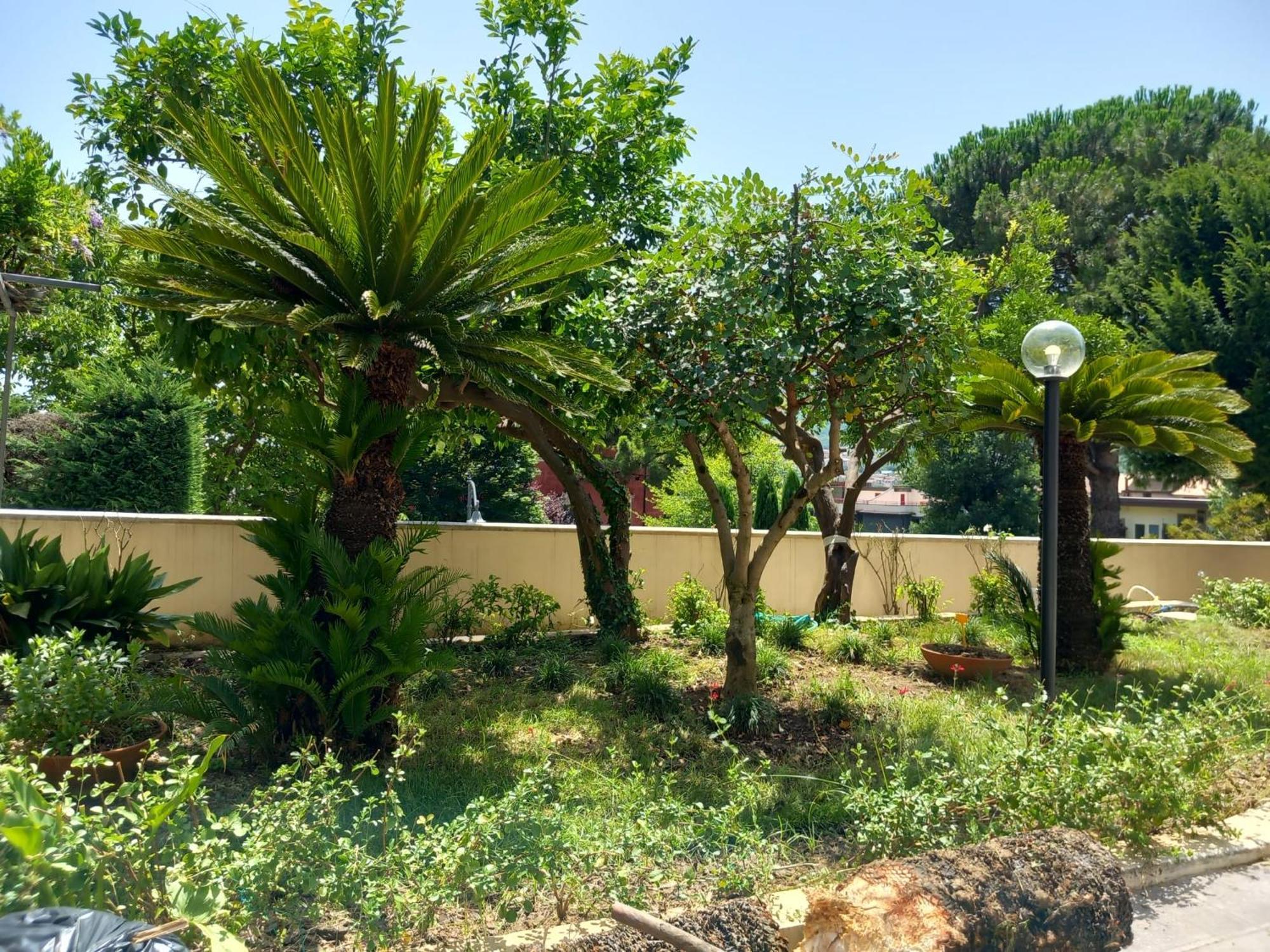 Villa Maria Cristina D'Amico Cava De' Tirreni Ngoại thất bức ảnh